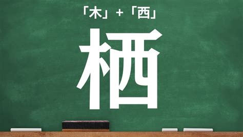 木象|木＋象の漢字「橡」！読み方や意味などを一発チェック